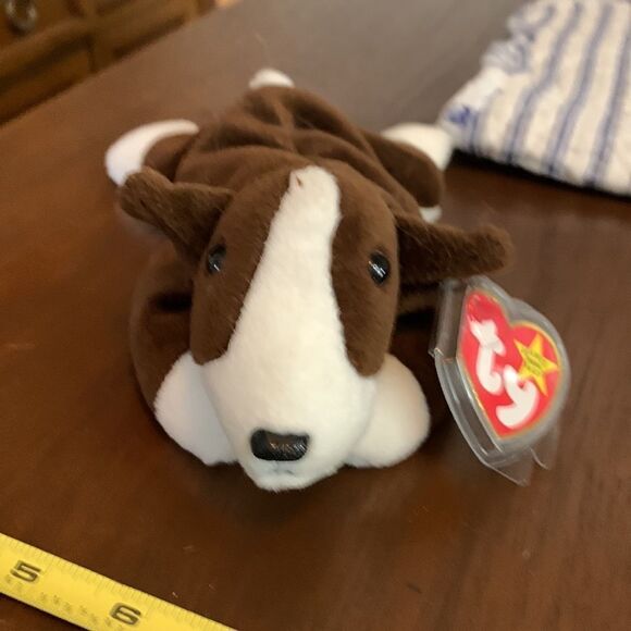 Bruno the puppy birthday, September 9, 1997 - Picture 2 of 6